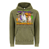 Vintage Olive pet all the pumpkins Vintage Hoodie - CowGirlArtShop
