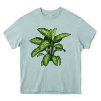 Arona Dumb Cane Heavy Core Tee - LillyAllenDesigns