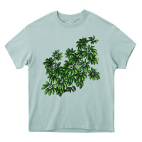 Arona Botanical Schefflera Illustrations Heavy Core Tee - LillyAllenDesigns