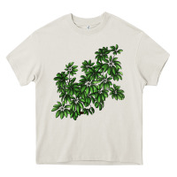 Cream Botanical Schefflera Illustrations Heavy Core Tee - LillyAllenDesigns