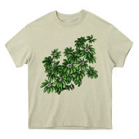 Mossy Botanical Schefflera Illustrations Heavy Core Tee - LillyAllenDesigns