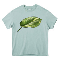 Arona Golden Pothos Leaf Heavy Core Tee - LillyAllenDesigns