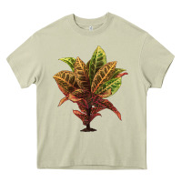 Mossy Croton Heavy Core Tee - LillyAllenDesigns