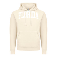 Vintage Artic Florida Crewneck Sweatshirt Sports College Style State Gifts Vintage Hoodie - minhPixels