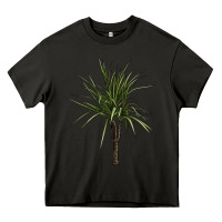 Asphalt Dracaena Marginata Heavy Core Tee - LillyAllenDesigns