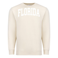 Sandshell Florida Crewneck Sweatshirt Sports College Style State Gifts Premium Sweatshirt - minhPixels