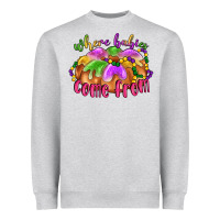 Heather Grey where babies come from Heavyweight Sweatshirt - LillyAllenDesigns