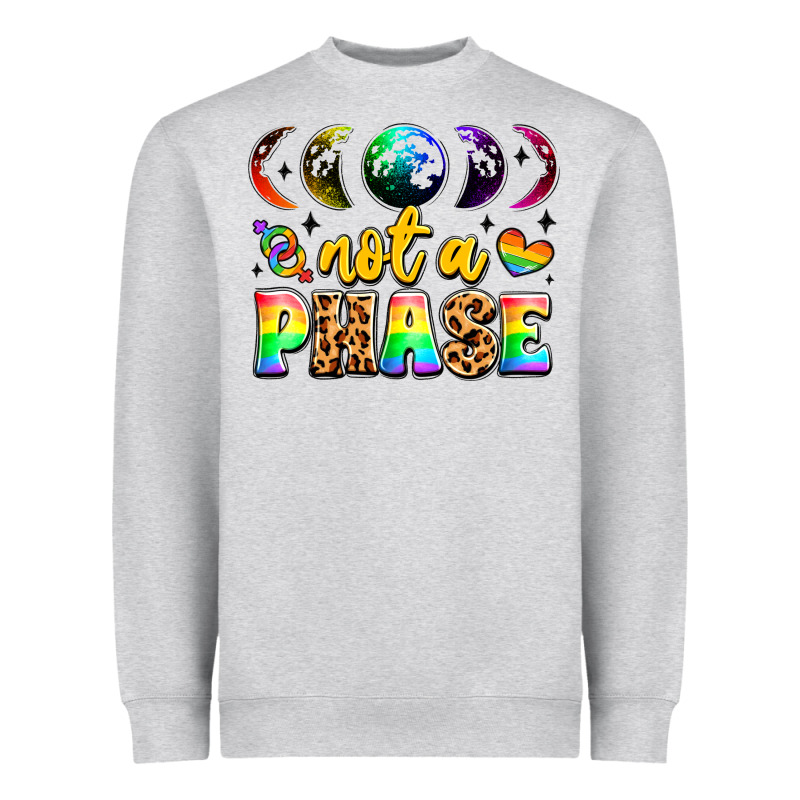 Not A Phase Pride Moon Heavyweight Sweatshirt by LillyAllenDesigns | Teevron