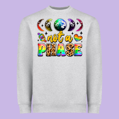 Not A Phase Pride Moon Heavyweight Sweatshirt Designed By Lillyallendesigns
