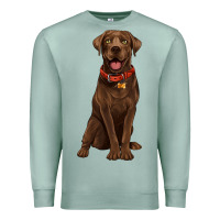 Seafoam chocolate lab labrador retriever Premium Sweatshirt - Artiststas