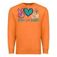 Carrot peace love easter with bunny and butterfly Premium Sweatshirt - Artiststas