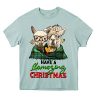Arona have a llamazing christmas alpaca head Heavy Core Tee - LillyAllenDesigns