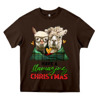 Chocolate Brown have a llamazing christmas alpaca head Heavy Core Tee - LillyAllenDesigns