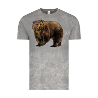 Cloud Rock Grizzly Bear Vintage Tee - HowdyJamesFarm