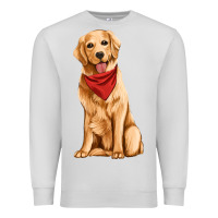 Dove Grey golden retriever Premium Sweatshirt - Artiststas