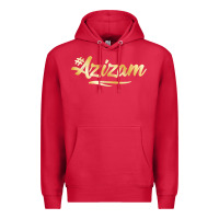 Cardinal Azizam Persian Iran Iranian Gift Tala Gold Premium Hoodie - minhPixels
