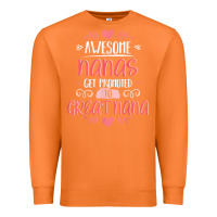 Carrot Gift for 1st Time Great Nana  Great Nana Premium Sweatshirt - minhPixels