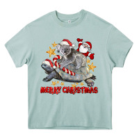 Arona Merry Christmas Tortoise And Koala Heavy Core Tee - LillyAllenDesigns