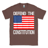 Chestnut Defend the Constitution US Political Protest Tee Classic Tee - minhPixels
