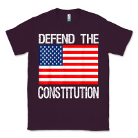 Plum Defend the Constitution US Political Protest Tee Classic Tee - minhPixels