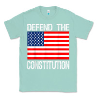Seafoam Defend the Constitution US Political Protest Tee Classic Tee - minhPixels