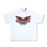 White carolina thunderbirds Urban Heavy Tee - minhPixels
