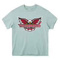 Arona carolina thunderbirds Heavy Core Tee - minhPixels