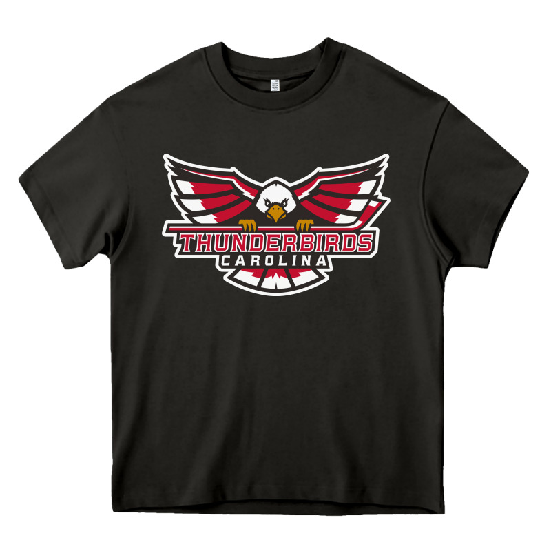 Carolina Thunderbirds Heavy Core Tee by minhPixels | Teevron
