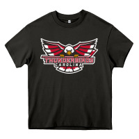 Asphalt carolina thunderbirds Heavy Core Tee - minhPixels