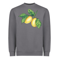 Storm lemons Heavyweight Sweatshirt - BundleAndBundleShop