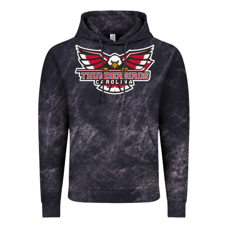 Carolina Thunderbirds Vintage Hoodie by minhPixels | Teevron