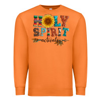 Carrot holy spirit activate Premium Sweatshirt - Artiststas