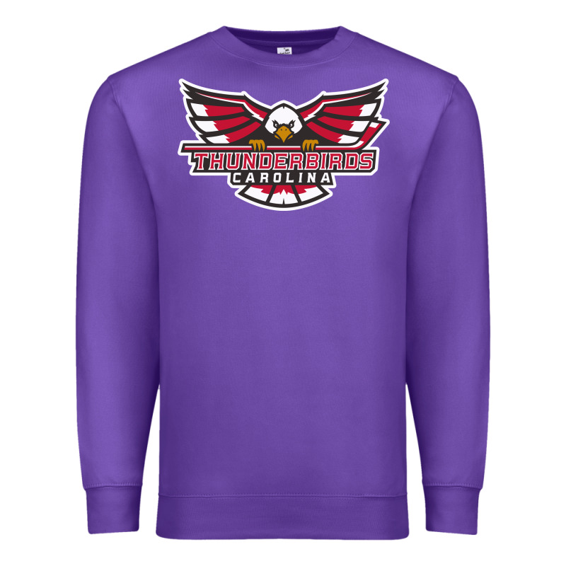 Carolina Thunderbirds Premium Sweatshirt by minhPixels | Teevron