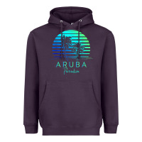 Plum Vintage Aruba Beach Tropical Vibes Vacation Souvenir Gift Heavyweight Hoodie - minhPixels