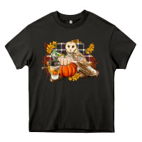 Asphalt Fall Barn Owl Heavy Core Tee - LillyAllenDesigns