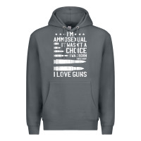 Rock Ammosexual Bullets Love Pro Gun Lover Cool Enthusiast Gifts Premium Hoodie - minhPixels