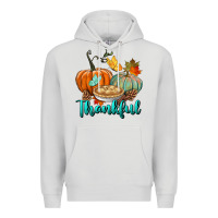 Dove Grey thankful pumpkins Premium Hoodie - BundleAndBundleShop