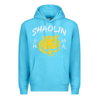 Ocean Blue Tiger Shaolin Kung Fu Chinese Symbol Wushu Martial Arts Gift Premium Hoodie - minhPixels