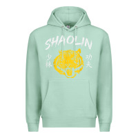 Seafoam Tiger Shaolin Kung Fu Chinese Symbol Wushu Martial Arts Gift Premium Hoodie - minhPixels