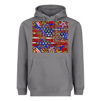 Storm American flag and star leopard Heavyweight Hoodie - Artiststas