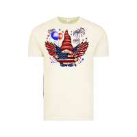 Vintage Arctic Gnome with 4th Of July elements Vintage Tee - HowdyJamesFarm