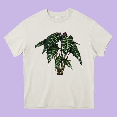 Amazon Elephant Ear Heavy Core Tee Designed By Lillyallendesigns