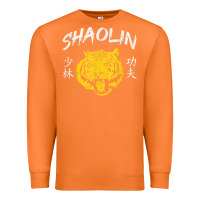 Carrot Tiger Shaolin Kung Fu Chinese Symbol Wushu Martial Arts Gift Premium Sweatshirt - minhPixels
