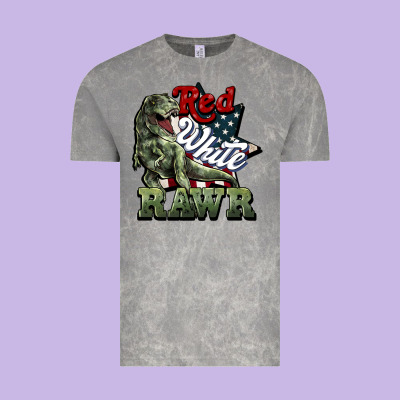 Red White Rawr 4th Of July Vintage Tee Designed By Howdyjamesfarm