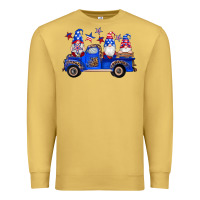 Antique Gold american flag gnomes truck Premium Sweatshirt - Artiststas