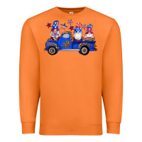 Carrot american flag gnomes truck Premium Sweatshirt - Artiststas