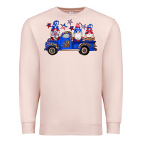 Pale Pink american flag gnomes truck Premium Sweatshirt - Artiststas