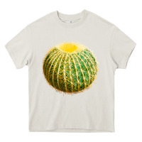 Cream Golden Barrel Cactus Heavy Core Tee - LillyAllenDesigns