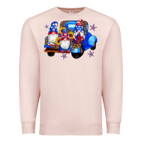 Pale Pink american flag gnomes truck sunflowers star leopard Premium Sweatshirt - Artiststas