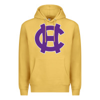 Antique Gold holy cross gifts, Premium Hoodie - minhPixels